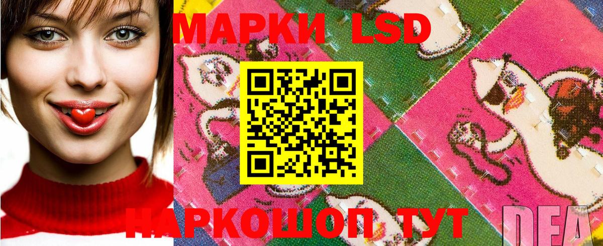 Марки N-bome 1,5мг  Вход с VPN  Каменка  Марки N-bome 1,5мг 