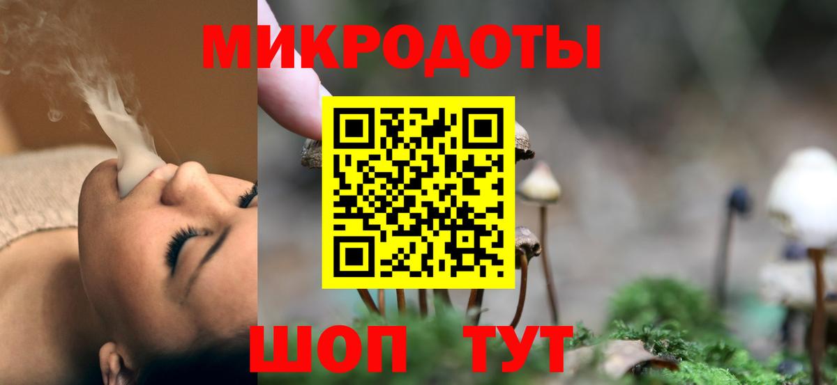 Каменка  Галлюциногенные грибы Magic Shrooms  Вход с VPN 